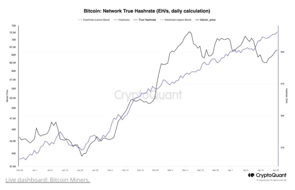 Bitcoin ağ hash oranı