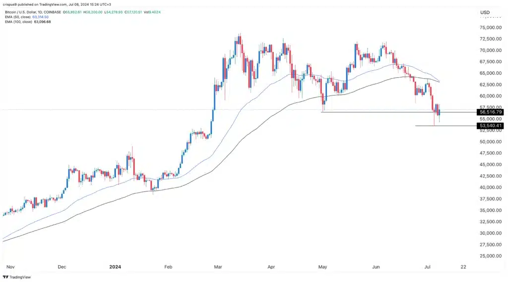 Kripto analistleri Bitcoin fiyatının yönü konusunda ikiye bölündü - 1