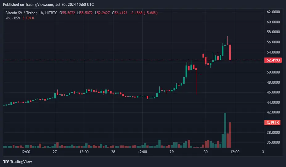 Bitcoin fiyatı ABD'nin transferleri ile 67 bin doların altına düştü - 2