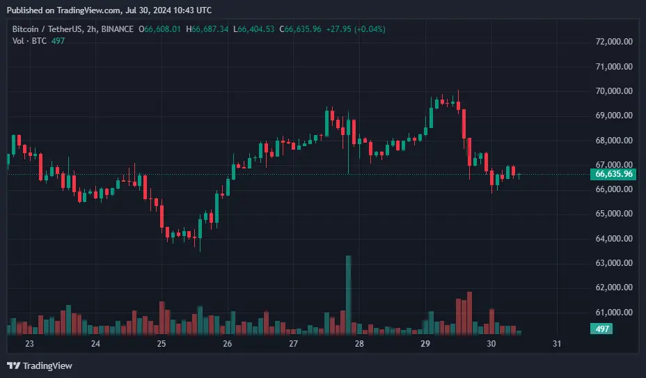 Bitcoin fiyatı ABD'nin transferleri ile 67 bin doların altına düştü - 1