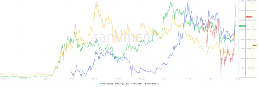 Meme coin rallisi: PEPE, FLOKI, WIF ve BRETT %20'ye yakın yükseldi - 1