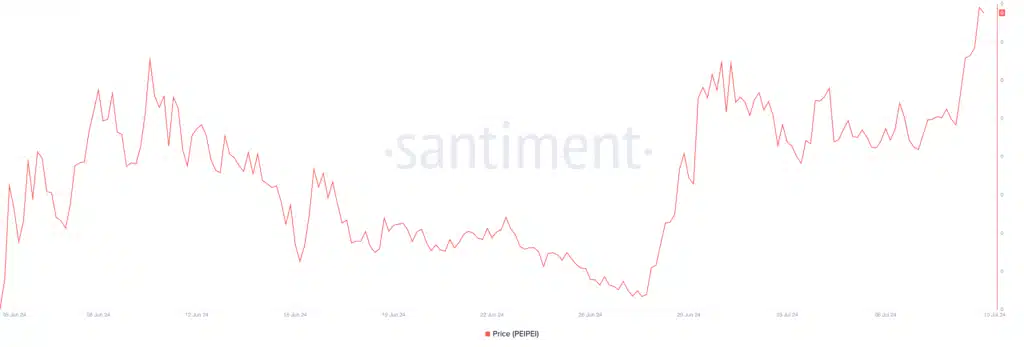 Meme coin PeiPei lider 500 kripto para arasında en çok kazanan varlık oldu - 1