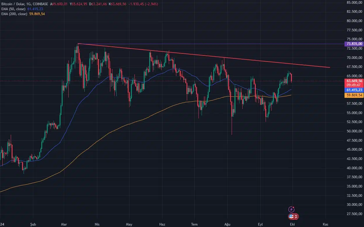 Bitcoin fiyatı %210 artabilir: madencilik yöneticisinin öngörüsü - 1