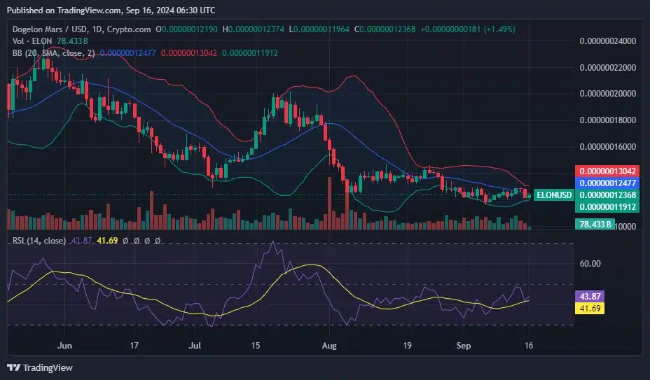 BCH, ELON ve CKB: Bu hafta yakından takip edilmesi gereken kripto paralar - 2