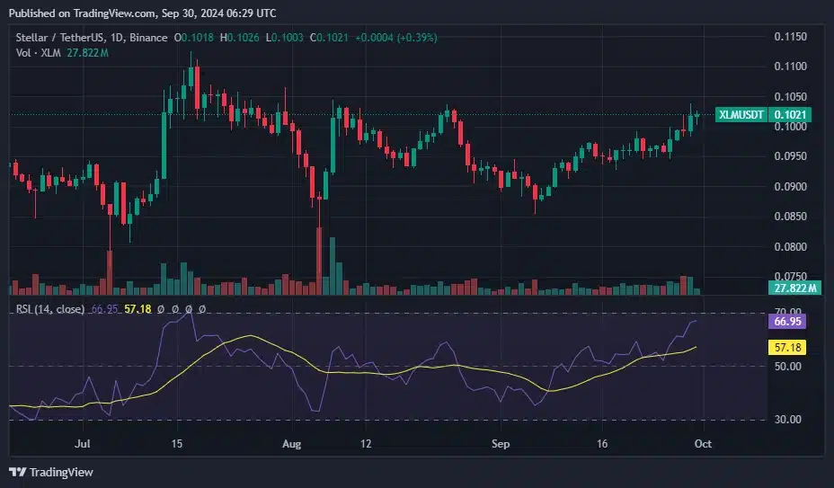 XLM, BONK ve SUI, haftaya pozitif eğilim göstererek başladı - 2