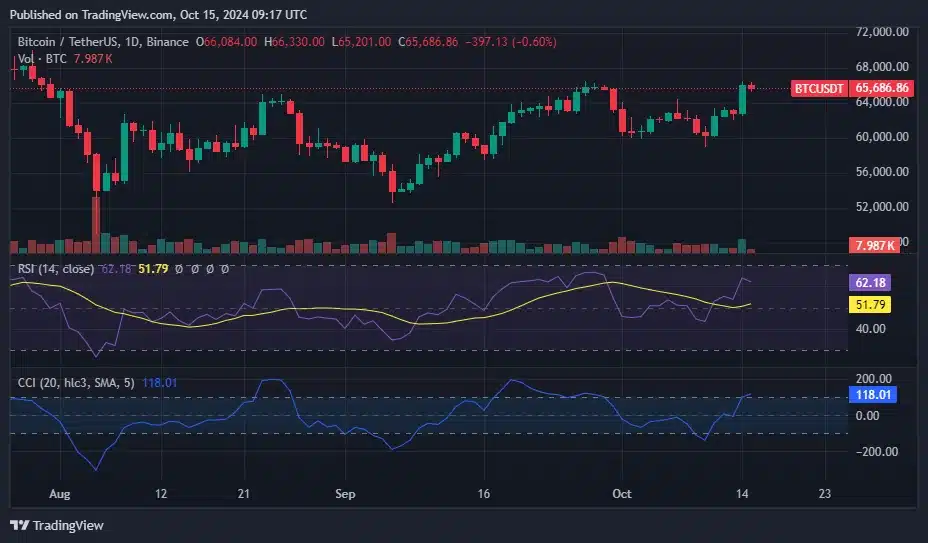 Bitcoin yatırımcılarının %94'ü kârda; satış dalgası başlayacak mı? - 2