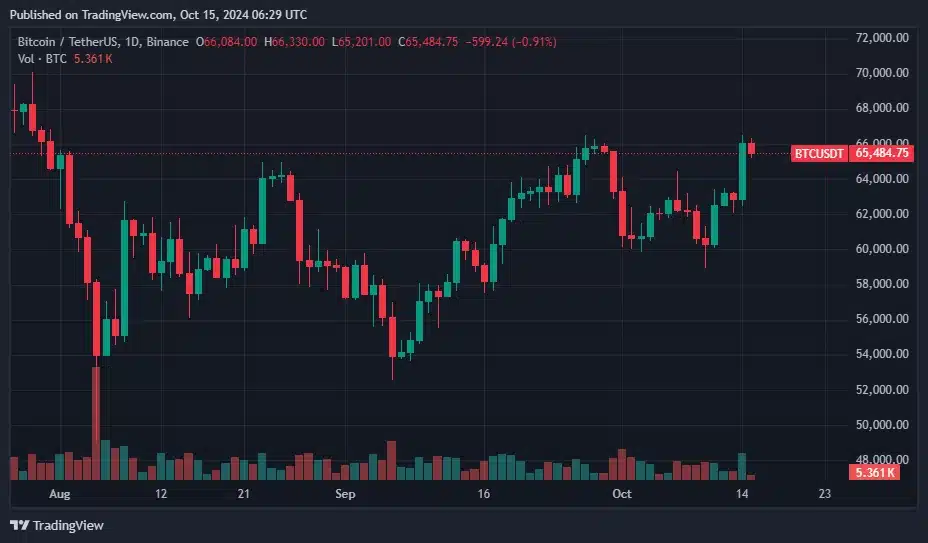 Bitcoin fiyatı 66 bin dolarda — Büyük bir yükselişin başlangıcı olabilir mi? - 1